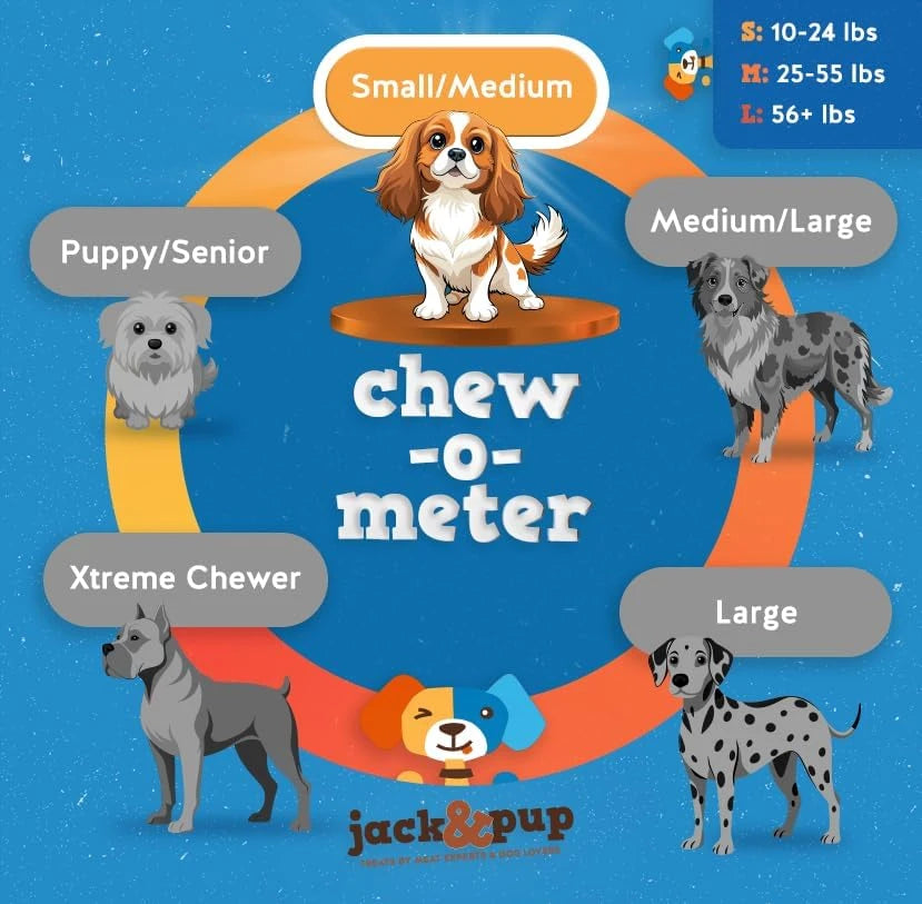 JackAndPup Small Bully Bites