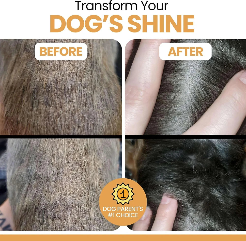 Salmon Oil Skin and Coat Supplement