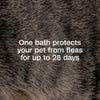Adams Plus Flea And Tick Shampoo