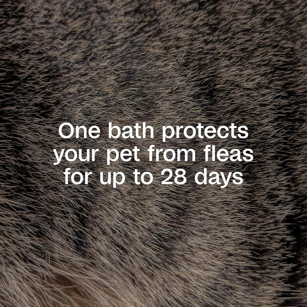 Adams Plus Flea And Tick Shampoo