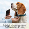 Ring Pet Tag